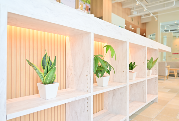 リエアーからのご提案