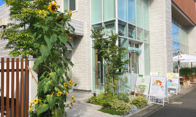 夏の花といえば何を思い浮かべますか？ 紫陽花も初夏や梅雨時期のイメージですが、夏の代名詞はやっぱり“ひまわり”かと思います！