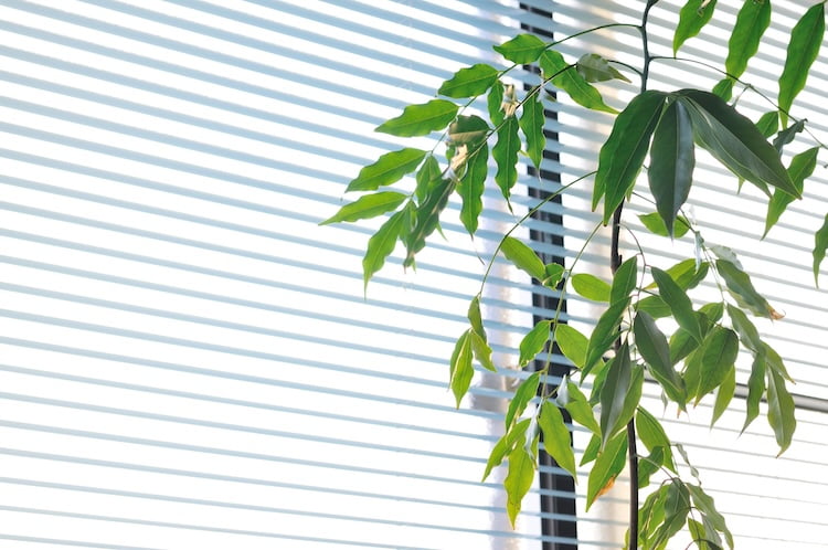 窓際の温度ムラを解消する空調設備の運用