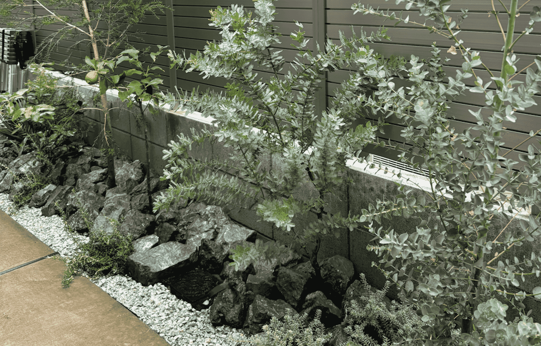 植栽によるナチュラルガーデン設計