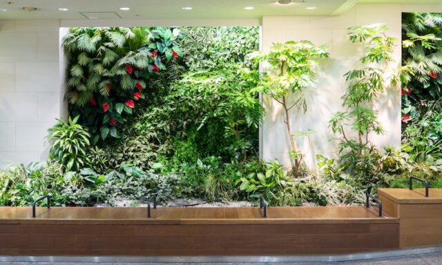 バイオフィリックデザインとは？ストレス軽減やウェルビーイングなどの効果について解説