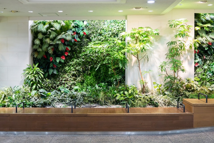 バイオフィリックデザインとは?ストレス軽減やウェルビーイングなどの効果について解説