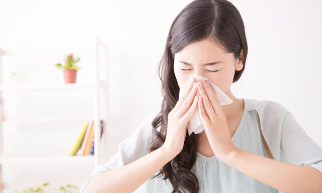ダニの繁殖対策は湿度と温度の管理が重要！空調設備を利用したダニ対策について解説