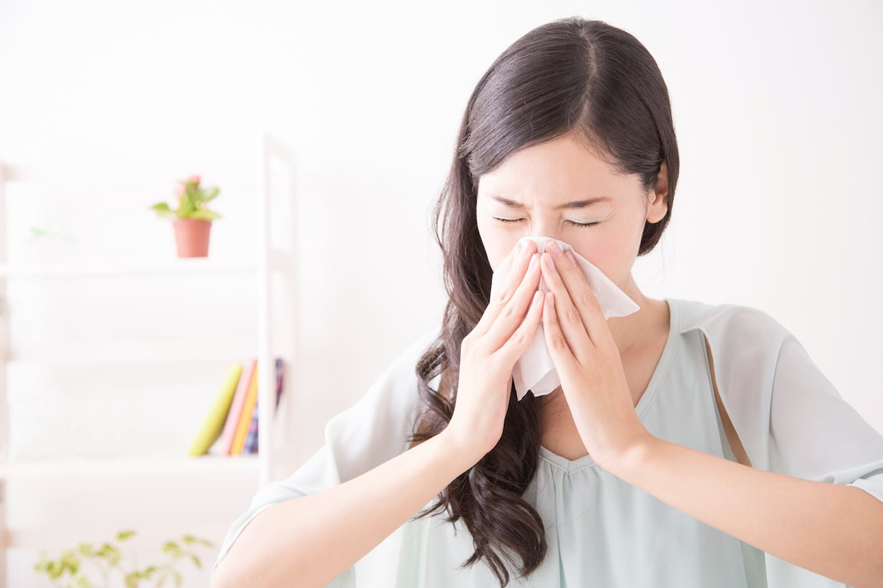 ダニの繁殖対策は湿度と温度の管理が重要!空調設備を利用したダニ対策について解説