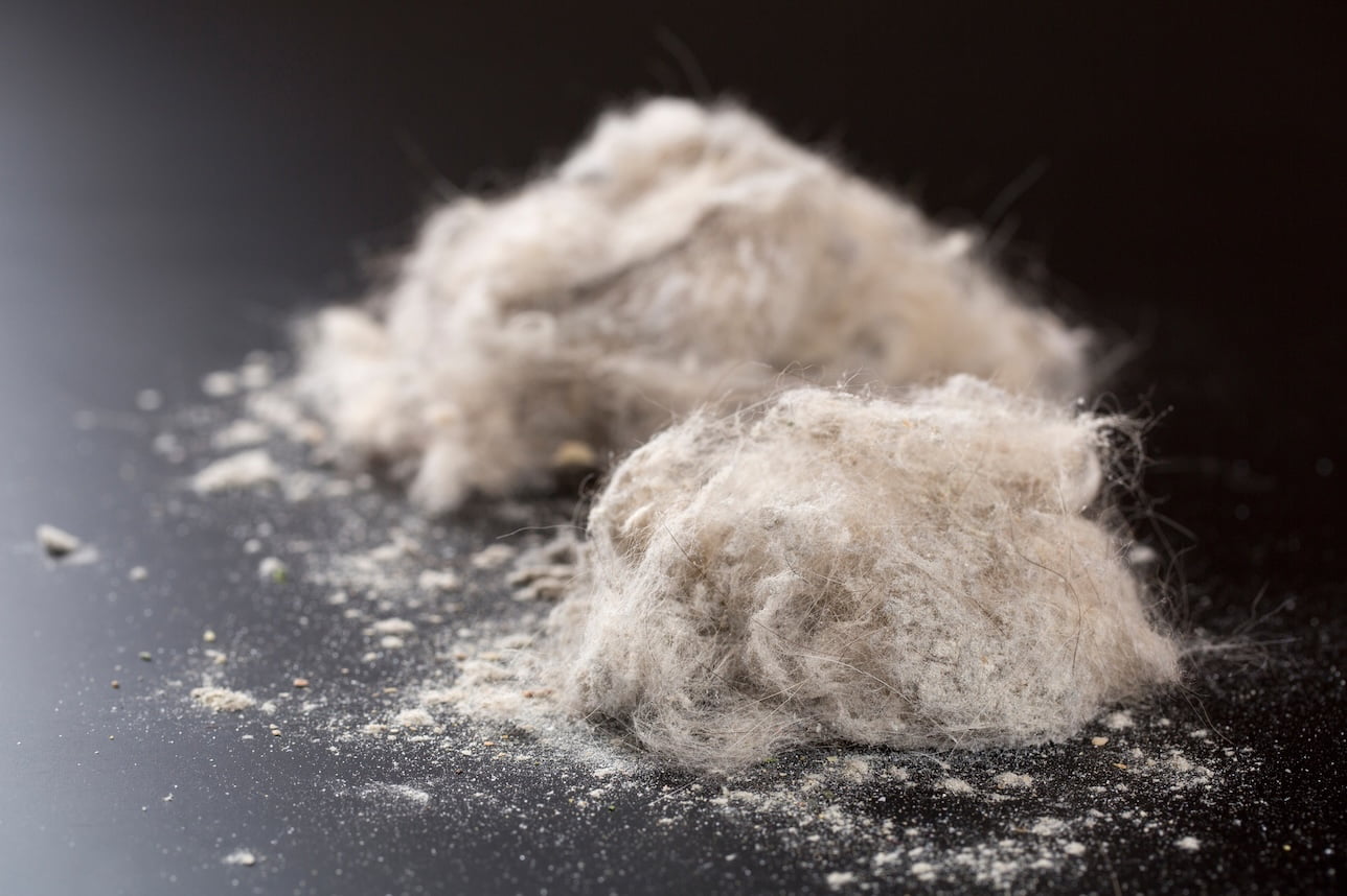 ハウスダストが発生する原因